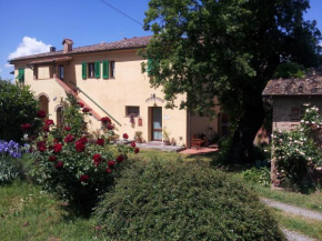 A Casa di Lizzy B&B Montelopio